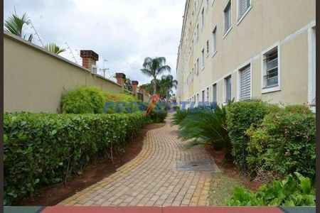 9_photo/94c8c8e85f.49e5f4e107e90c19-ATLAS-5575a656-635d-43e4-a21e-b9664c39d511.jpg de apartamento para alugar com 3 quartos, 73m² em São Bernardo, Campinas