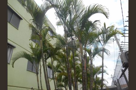 22_photo/94c8c8f7ab.f3b7d7f937e1745d-ATLAS-33a4e157-4666-42da-bb00-a0c69744307e.jpg de apartamento para alugar com 2 quartos, 60m² em Jardim Pauliceia, Campinas