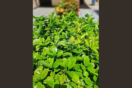 8_photo/94c8c8fb21.f765f65a74383a1b-ATLAS-01c19b2a-bef8-4f1c-a96d-c872851077d2.jpg de apartamento à venda com 2 quartos, 48m² em Vila Rica, Campinas