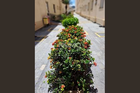 4_photo/94c8c8fb21.f765f65a74383a1b-ATLAS-0ebaf93d-5e24-4f2a-9f58-50421f542729.jpg de apartamento à venda com 2 quartos, 48m² em Vila Rica, Campinas