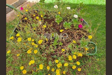 5_photo/94c8c8fb21.f765f65a74383a1b-ATLAS-c9c2f1a4-8b69-4b92-afd3-8f65ca14a2cc.jpg de apartamento à venda com 2 quartos, 48m² em Vila Rica, Campinas