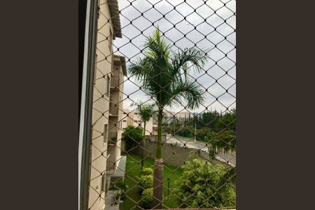 31_photo/94c8c90e39.a15f321e408d66f6-ATLAS-5a2fcc1e-b465-457b-881a-ee7cfa9344d9.jpg de apartamento para alugar com 3 quartos, 70m² em Jardim das Bandeiras, Campinas