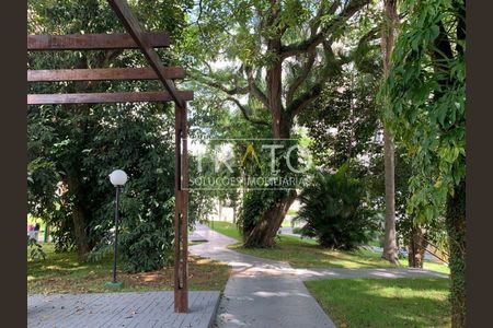 4_photo/94c8c92b0d.86fa7c56df5ec564-ATLAS-1ffb5478-a17a-4f0f-82e1-4998daa9191b.jpg de apartamento para alugar com 2 quartos, 48m² em Jardim Nova Europa, Campinas