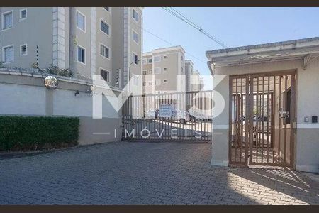 3_photo/94c8c94d35.0842bf4f2c20bca9-ATLAS-0ba8cc37-7b5b-4afc-a72f-21097fcb36a4.jpg de apartamento para alugar com 2 quartos, 45m² em Loteamento Parque São Martinho, Campinas