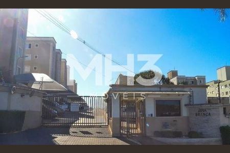 30_photo/94c8c94d35.0842bf4f2c20bca9-ATLAS-7360d1f8-86de-44f3-a65e-f21bcd4b7ad0.jpg de apartamento para alugar com 2 quartos, 45m² em Loteamento Parque São Martinho, Campinas