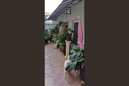 3_photo/94c8c9715f.dabf6d33826e301d-ATLAS-28408797-8ad2-4618-8f43-cdfc9eeecf5c.jpg de casa à venda com 6 quartos, 266m² em Parque Camboriú, Campinas