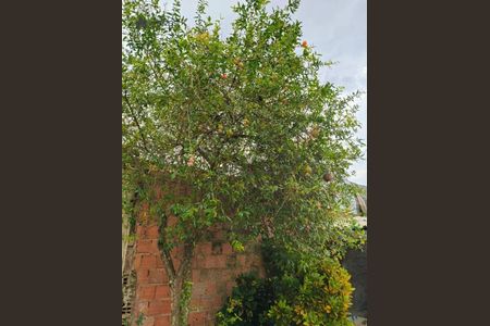 6_photo/94c8c9a34d.ae3d86bef28e162d-ATLAS-09df928d-4f73-48ca-bb2e-8761255f102a.jpg de casa à venda com 2 quartos, 139m² em Vila Mingone, Campinas