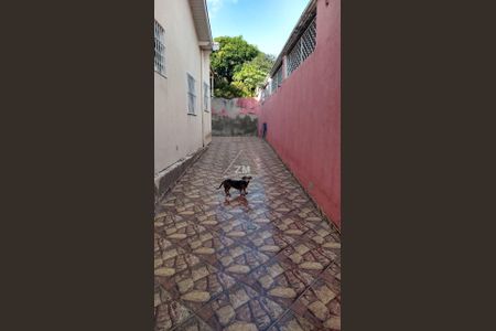 16_photo/94c8c9aba1.c93c42c5a713747d-ATLAS-8abc34ad-4075-4a2c-a635-b7f13097ce53.jpg de casa à venda com 3 quartos, 180m² em Jardim Novo Campos Eliseos, Campinas