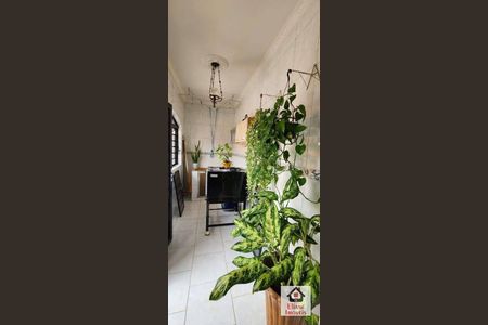 44_photo/94c8c9e70f.4f9b5e5a209ca818-ATLAS-f8a147d4-ca8b-4796-8eaf-e911a8219964.jpg de casa à venda com 3 quartos, 304m² em Vila Aeroporto, Campinas