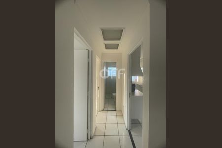 7_photo/94c8ca296f.5831f48cac2dddaf-ATLAS-5ff3b9e7-aa8a-493f-b140-0744b4ab3d65.jpg de apartamento para alugar com 2 quartos, 55m² em Jardim San Diego, Campinas