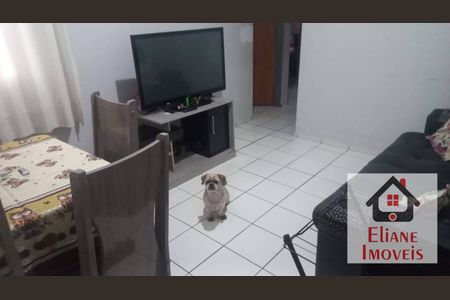 1_photo/94c8ca2e05.a2f20247600d2059-ATLAS-70fea9af-4229-4272-8b39-19ba88ae366b.jpg de apartamento à venda com 2 quartos, 48m² em Loteamento Parque Centenario, Campinas