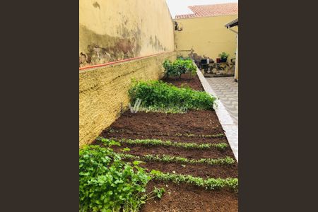 10_photo/94c8ca4651.143559cf2cedd01d-ATLAS-188ff58f-b23a-48fb-b87d-477c25d75dc8.jpg de casa à venda com 3 quartos, 201m² em Jardim Nova America, Campinas