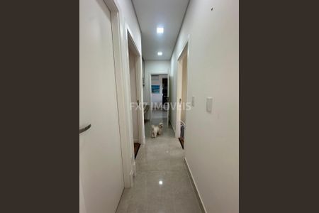 12_photo/94c8cbfb87.3640d3d525405d0f-ATLAS-73286a35-7963-4d89-8c6d-8be117877f2d.jpg de apartamento para alugar com 3 quartos, 90m² em Swiss Park, Campinas