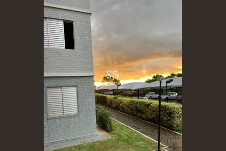 12_photo/94c8cc1c69.f4ca492435e54aa9-ATLAS-64ae5209-e61b-4ed4-9882-32b2f75d103c.jpg de apartamento para alugar com 2 quartos, 58m² em Parque Jambeiro, Campinas