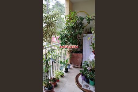 2_photo/94c8cd9561.e100dba37721dde7-ATLAS-1daa5304-ae8a-4ff3-a82b-feb8ce8d6fab.jpg de apartamento à venda com 3 quartos, 69m² em Vila Sao Sebastiao, Valinhos