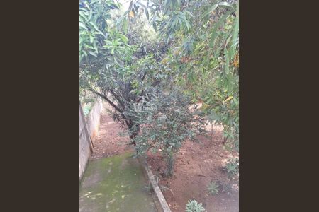 5_photo/94c8ce8d57.f38e38137a2159e3-ATLAS-7864ca8e-47a2-424e-a972-7eae18d833f8.jpg de casa para alugar com 3 quartos, 274m² em Jardim Tupi, Campinas