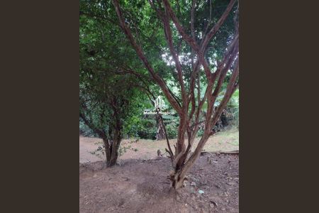 2_photo/94c8ce8d7f.659d7f3f71f48841-ATLAS-c6158fb4-b50b-476b-84a3-d2735a85c52a.jpg de casa para alugar com 3 quartos, 274m² em Jardim Tupi, Campinas