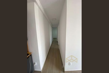 3_photo/94c8ce9623.20b58756de791df0-ATLAS-26514e41-2c04-4e46-b21f-7e82289cd833.jpg de apartamento para alugar com 2 quartos, 47m² em Jardim São Vicente, Campinas