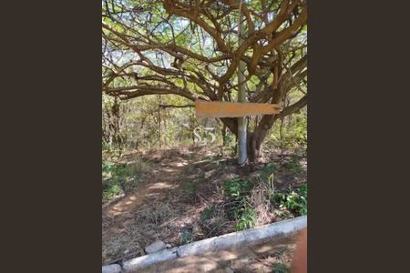 16_photo/94c8ceb295.651406f38f2c4773-ATLAS-3737bf3d-b782-4aa4-b126-80d272cd2007.jpg de apartamento à venda com 2 quartos, 43m² em Vila Campos Sales, Campinas