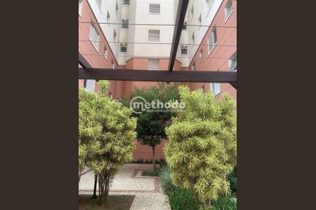 28_photo/94c8ceb7a5.ba1c0bc9cbfcae1e-ATLAS-c788c91d-39a4-400e-bbc9-10838fd13d59.jpg de apartamento para alugar com 3 quartos, 89m² em Jardim Nova Europa, Campinas