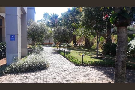 3_photo/94c8ceb7b1.e32b511dab847c4b-ATLAS-14e2e373-9f7d-4b7a-8f43-bc1b45ee7722.jpg de apartamento para alugar com 3 quartos, 88m² em Jardim Nova Europa, Campinas