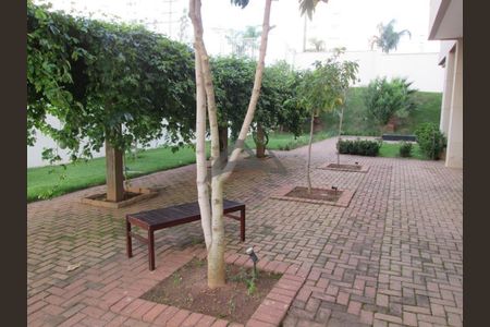 71_photo/94c8ceb7b1.e32b511dab847c4b-ATLAS-94335fda-7bfb-4fca-aeeb-e5f433d9ff5c.jpg de apartamento para alugar com 3 quartos, 88m² em Jardim Nova Europa, Campinas