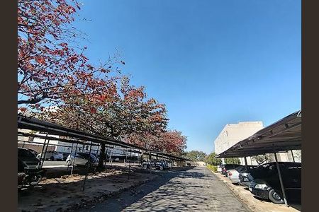 7_photo/94c8cebe39.c4f400fc90bd95d6-ATLAS-5f9d2bf3-734a-4a10-8df3-dd22f8d880ef.jpg de apartamento para alugar com 2 quartos, 52m² em Jardim Amazonas, Campinas