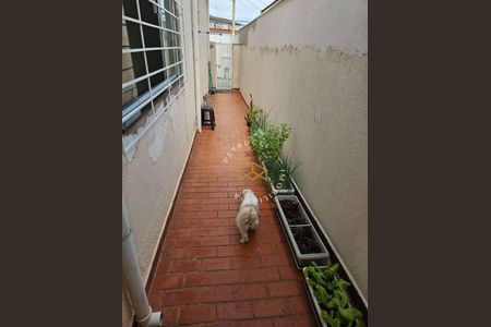 24_photo/94c8cebfd9.a7e578b01350a441-ATLAS-852531d3-d526-4d6c-bf50-96e2dcf3d8fd.jpg de casa à venda com 2 quartos, 187m² em Jardim Amazonas, Campinas