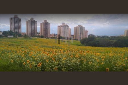 1_photo/94c8cec86b.54887b4dc90f8163-ATLAS-0e59ea22-62b0-4dbd-856b-8aeb1aff38d1.jpg de apartamento para alugar com 3 quartos, 79m² em Parque Prado, Campinas