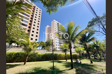 8_photo/94c8cec86b.73667f1db7fdd8fa-ATLAS-b08b1c2a-0e13-4c15-8fc6-75b2a3c3083c.jpg de apartamento para alugar com 3 quartos, 77m² em Parque Prado, Campinas