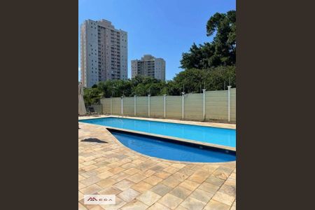 2_photo/94c8ced3b3.054bc51b02d65526-ATLAS-9cbe2727-0b02-4088-ab4c-7ef741aa3cdf.jpg de apartamento à venda com 2 quartos, 50m² em Jardim Nova Europa, Campinas