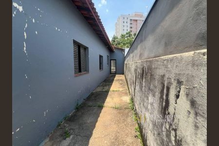 39_photo/94c8ced4ff.6c3400ce38c23ca2-ATLAS-601d8d6a-fd45-4fc9-8b29-a181a34aac62.jpg de casa para alugar com 3 quartos, 130m² em Vila Marieta, Campinas