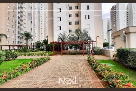 8_photo/94c8cee6e1.975b8cef9ec5634c-ATLAS-b049fb6b-e338-45fc-a400-29e889a9eb88.jpg de apartamento para alugar com 2 quartos, 59m² em Jardim Santa Eudoxia, Campinas