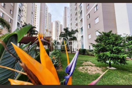 2_photo/94c8cee71d.ebbe5f45745dbb7b-ATLAS-f016deb7-bc51-4425-bd80-9a63413d3713.jpg de apartamento para alugar com 3 quartos, 76m² em Swift, Campinas