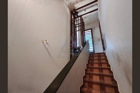 22_photo/94c8ceea05.4b5f5827c7f3d090-ATLAS-e78c06ae-ce7e-4702-8bf7-028f6d452fd3.jpg de casa para alugar com 3 quartos, 200m² em Vila Georgina, Campinas