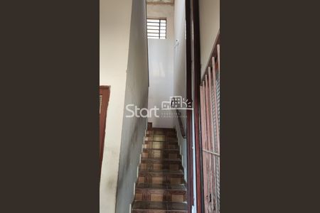 7_photo/94c8ceea05.75abd318ebcac133-ATLAS-abc1a519-f7c8-4a93-b1fc-9fd544a5ef2c.jpg de casa para alugar com 2 quartos, 120m² em Vila Georgina, Campinas