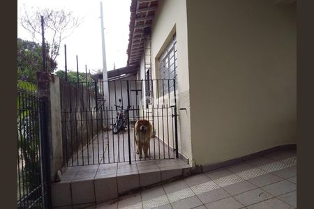 31_photo/94c8ceef99.2b307c4fefeed2e4-ATLAS-74453f9d-31c2-488c-95af-5a4157cdf3d8.jpg de casa à venda com 2 quartos, 300m² em Jardim Carlos Lourenço, Campinas