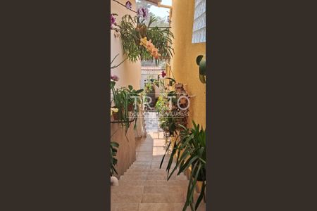 12_photo/94c8cef63d.3b6bc584e225c04e-ATLAS-481d8a21-8fdc-4ab2-be54-9d549522e7d8.jpg de casa à venda com 3 quartos, 161m² em Jardim Carlos Lourenço, Campinas