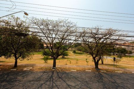 5_photo/94c8cef79d.f468b0c7bf094498-ATLAS-3c47148a-5e03-4128-b67a-b1aad7c4f4d6.jpg de casa para alugar com 4 quartos, 240m² em Jardim Carlos Lourenço, Campinas