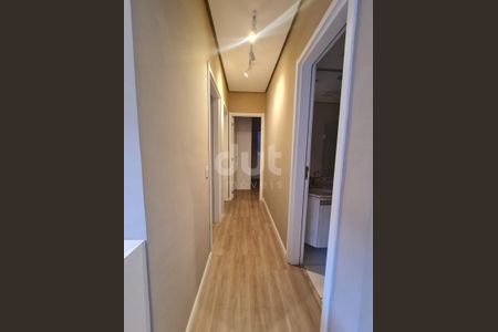 5_photo/94c8cf1b03.757a8de40dac5ad6-ATLAS-b36c8ac5-d8ba-490b-bac6-7c4f0f87f788.jpg de apartamento para alugar com 3 quartos, 80m² em Jardim Paranapanema, Campinas