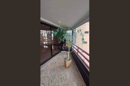 12_photo/94c8cf230d.f532a05da7cff3bb-ATLAS-0ccce670-0bfd-44a7-8f46-7ee6403db58f.jpg de apartamento à venda com 5 quartos, 220m² em Jardim Proença, Campinas