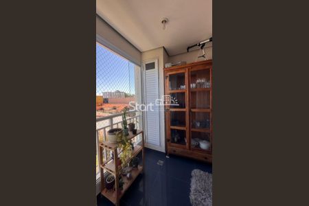 7_photo/94c8cf2881.0a54640ee14d9bc2-ATLAS-6dce09a7-fac6-4f36-9f11-29150bdd77ac.jpg de apartamento para alugar com 2 quartos, 66m² em Ponte Preta, Campinas