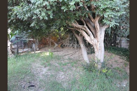 11_photo/94c8cf29a1.f7b46fd9919be053-ATLAS-1936ed38-4efe-425c-9d0b-5dc70189c1d7.jpg de casa para alugar com 6 quartos, 295m² em Vila Marieta, Campinas