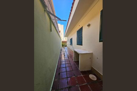 47_photo/94c8cf30cf.aef4de6394ba8e6d-ATLAS-6fa4ea47-571e-48cd-8a11-1a0ecd23922d.jpg de casa para alugar com 4 quartos, 298m² em Centro, Campinas