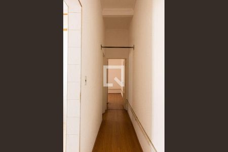 43_photo/94c8cf344f.3aed5bbd04158097-ATLAS-8c2d4e03-27b4-4a67-bb3a-871deb58525f.jpg de casa à venda com 3 quartos, 228m² em Centro, Campinas