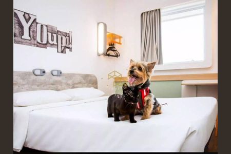 5_photo/94c8cf34cb.a963862acf0d8c55-ATLAS-314d7bc3-9089-4ba9-9c72-be4d454acece.jpg de apartamento à venda com 1 quarto, 14m² em Centro, Campinas