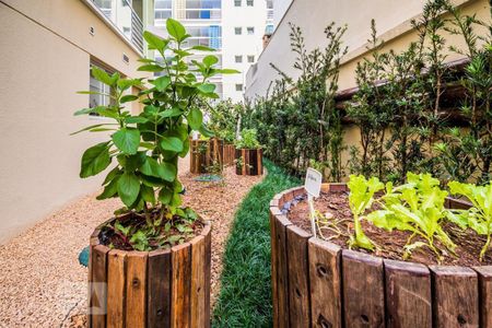 35_photo/94c8cf3617.80deeb00f87a90be-ATLAS-9aefb3f8-04e2-4b92-a5ed-9945630c7713.jpg de kitnet/studio à venda com 1 quarto, 43m² em Conceicao, Campinas