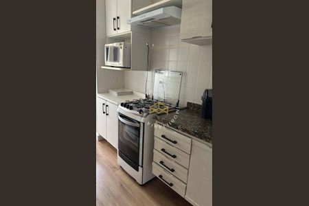 7_photo/94c8cf38e1.fa7dac5ce9370aa4-ATLAS-2e843698-6d74-43b8-8344-4ab4a65d54c4.jpg de apartamento à venda com 1 quarto, 68m² em Jardim Paraíso, Campinas