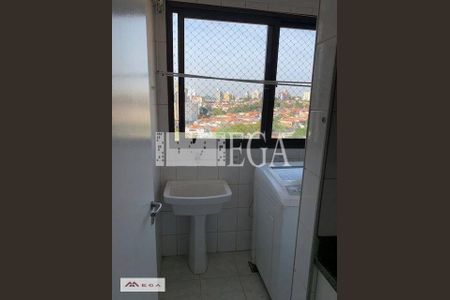 10_photo/94c8cf3a29.56770876573714f8-ATLAS-2722e33e-b6b8-4f8b-bb96-ffd3a6d079d1.jpg de apartamento para alugar com 2 quartos, 75m² em Vila Jequitibas, Campinas