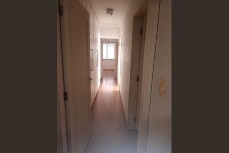 11_photo/94c8cf4c3d.c8049746c29ce75a-ATLAS-3bd1aaf8-b929-4ed7-a502-8ecff8288974.jpg de apartamento para alugar com 4 quartos, 190m² em Centro, Campinas